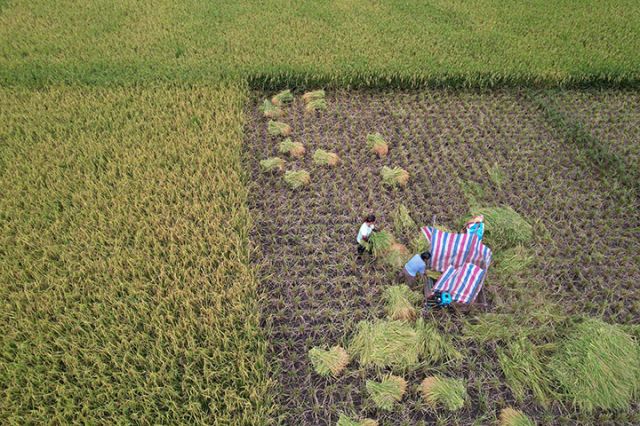 1754471084957652.jpg 圖1.jpg