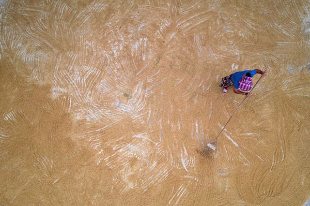 1754471099549322.jpg 圖2.jpg