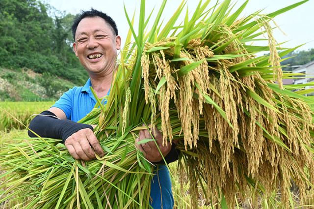 1754471106473128.jpg 圖3.jpg