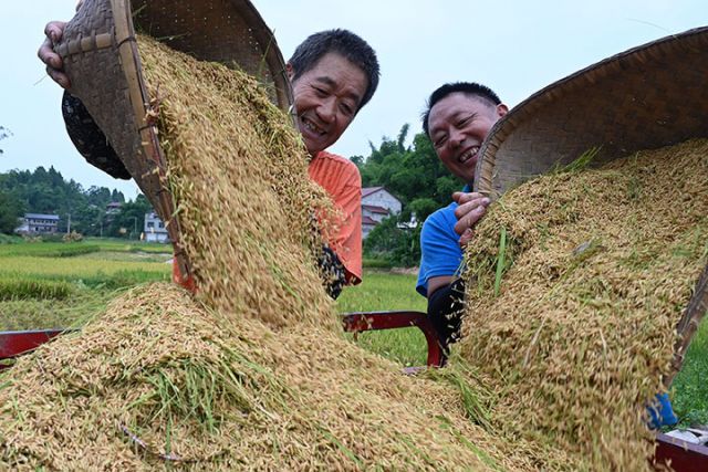 1754471114423154.jpg 圖4.jpg