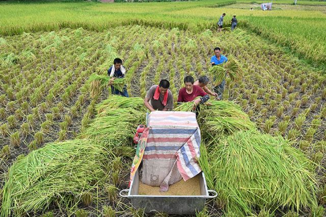 1754471128502833.jpg 圖5.jpg