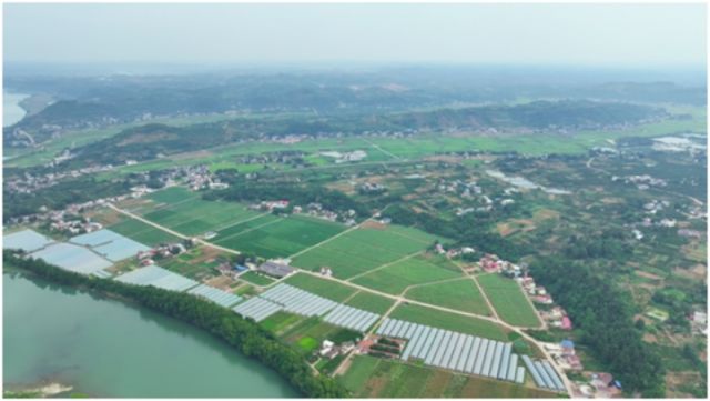 圖1  馬蹄灣園區(qū).jpg