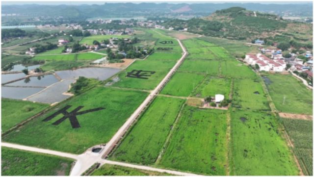 圖4  馬蹄灣園區(qū).jpg