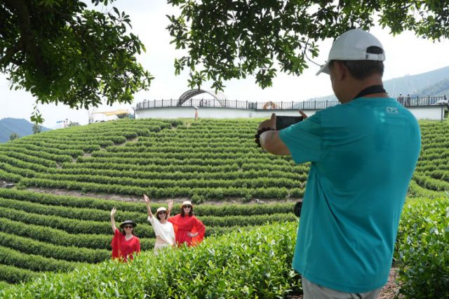 圖1  8月5日，游客在安吉黃杜村的萬畝白茶園游覽留影。新華社記者翁忻旸 攝.jpg