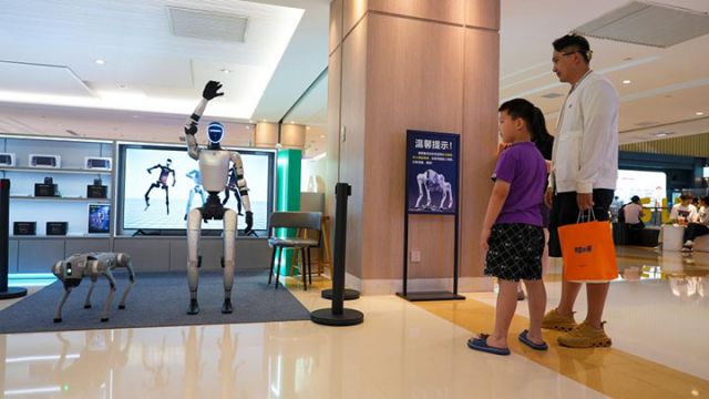 圖1  顧客在丹尼斯大衛(wèi)城等待操作智能機(jī)器人和機(jī)器狗。新華社記者劉振坤 攝.jpg