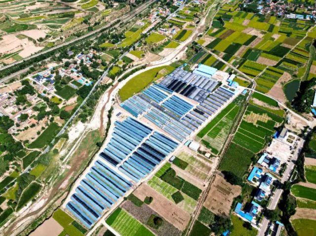 圖1  隴西縣馬河鎮(zhèn)卜家渠村現(xiàn)代設(shè)施蔬菜產(chǎn)業(yè)園（張鵬程 攝）.jpg