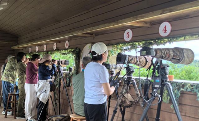 圖2  觀鳥愛好者在福建省明溪縣一處觀鳥點拍攝。（受訪者供圖）.jpg