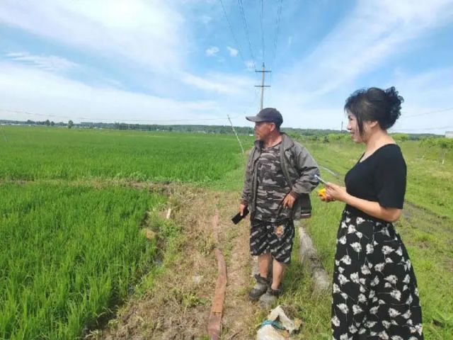 圖2  明水縣農(nóng)業(yè)技術(shù)推廣中心工作人員（右一）在查看水稻長勢(shì)情況（高偉 攝）.jpg