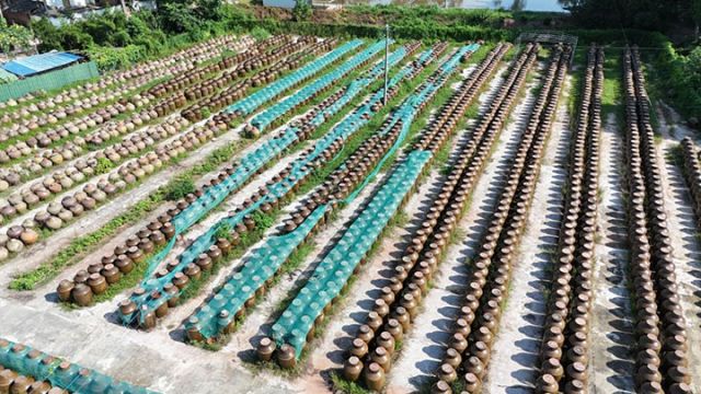 圖1 曬場(chǎng).jpg