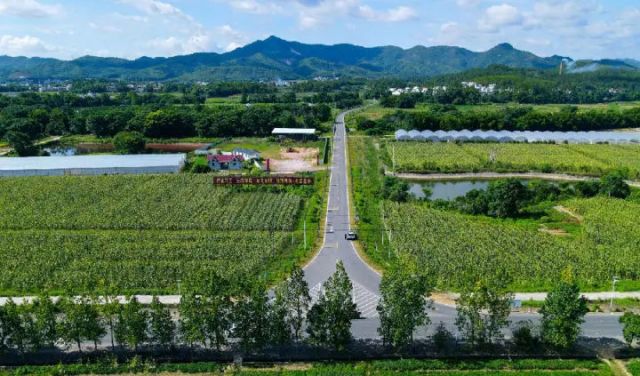 圖1  贛州市農(nóng)村公路一景 （李銘 攝）.jpg