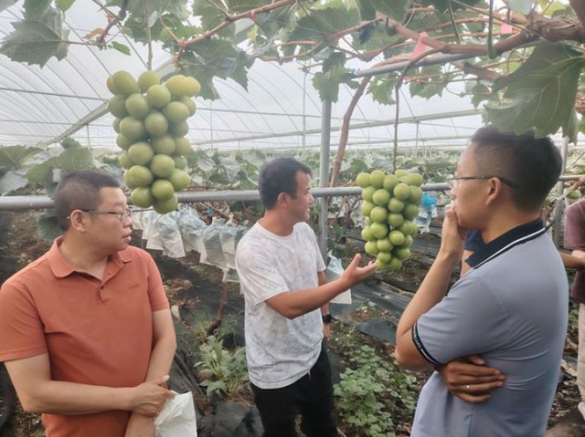 圖 3 團(tuán)隊(duì)參觀艾洋農(nóng)業(yè)科技有限公司葡萄生產(chǎn)基地.jpg
