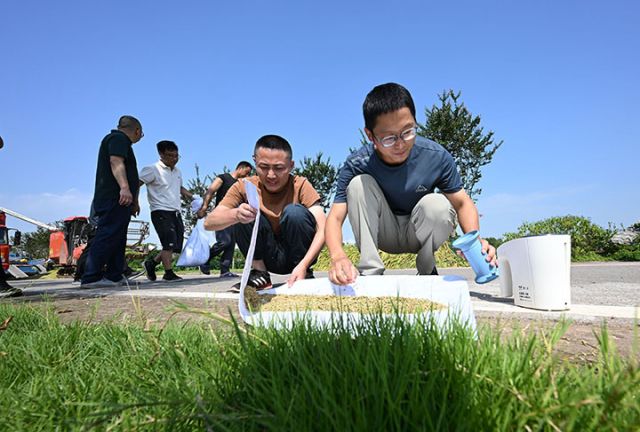 圖5  技術(shù)人員在水稻中稻百畝超高產(chǎn)攻關(guān)片現(xiàn)場(chǎng)為水稻中稻檢測(cè)水分.jpg