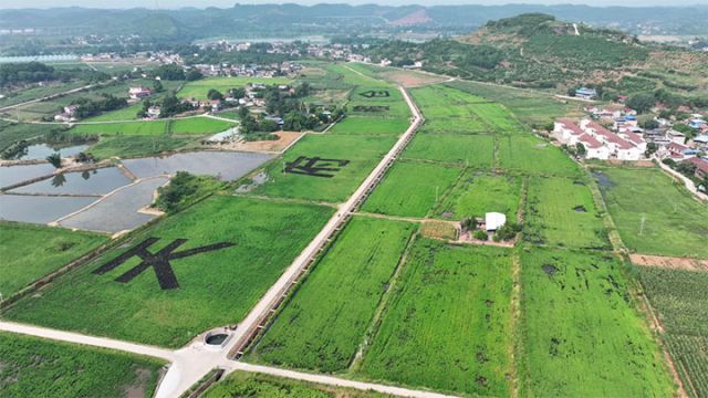 圖1  馬蹄灣糧經(jīng)復合現(xiàn)代農業(yè)園區(qū) 拷貝.jpg