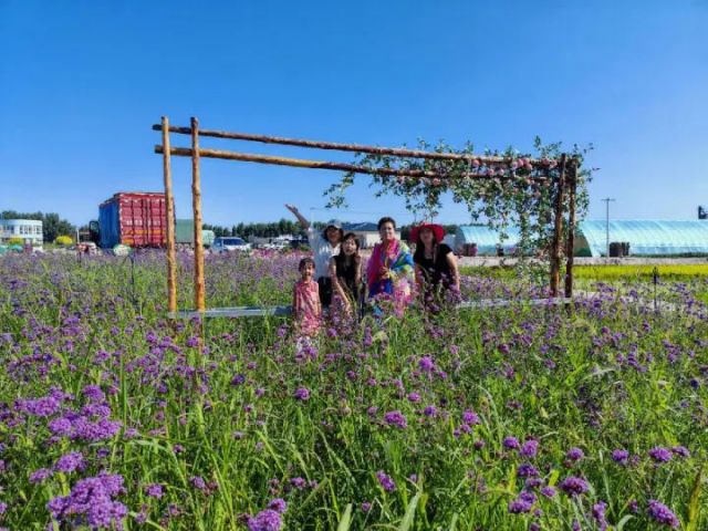 圖2  游客打卡古榆農(nóng)業(yè)生態(tài)園（呂志敏 攝）.jpg