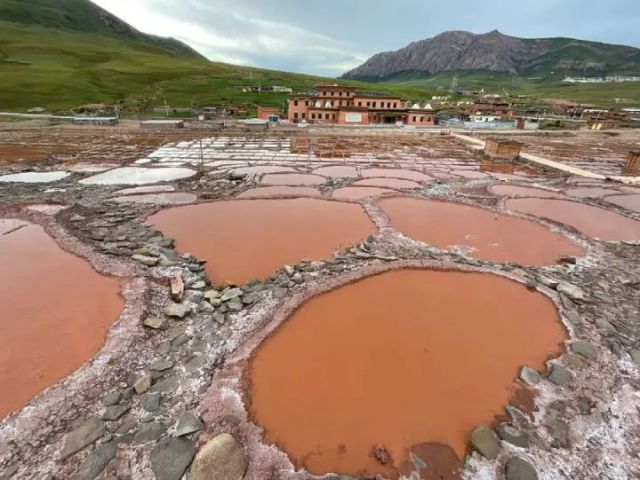 圖1  千年白扎鹽場煥發(fā)生機(jī)（申維祖 攝）.jpg