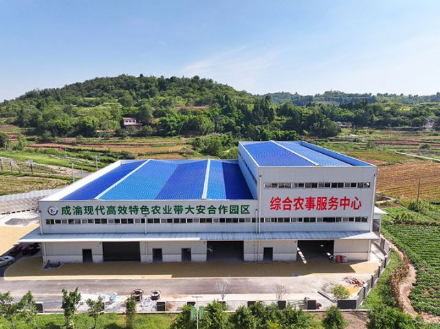 圖4  即將投用的白芷加工廠。潘政吉  攝.jpg