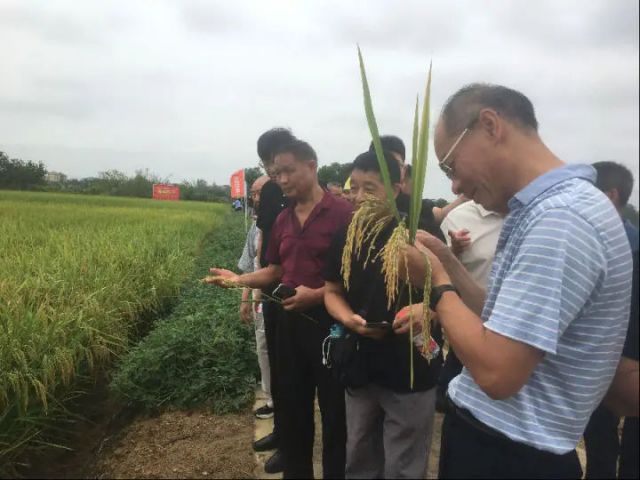 1757579427496401.jpg 圖1 觀摩會(huì)現(xiàn)場(chǎng)(項(xiàng)俊平 攝).jpg