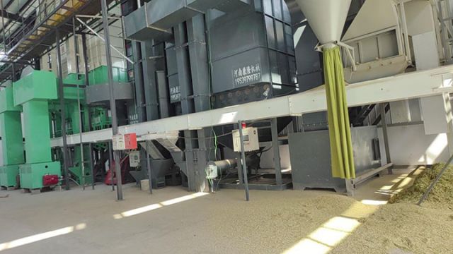 圖3  村集體的烘干設(shè)備正在運(yùn)作中。張文芹  攝.jpg