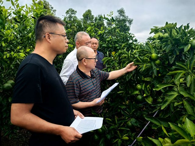 圖1  評比現(xiàn)場.jpg