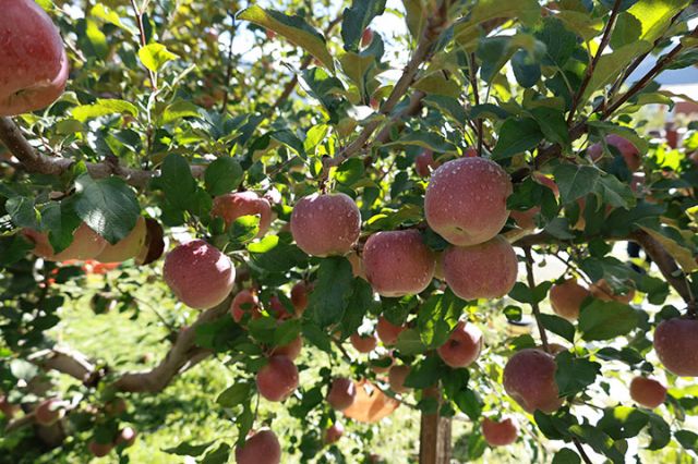 1758617317320694.jpg 4.jpg