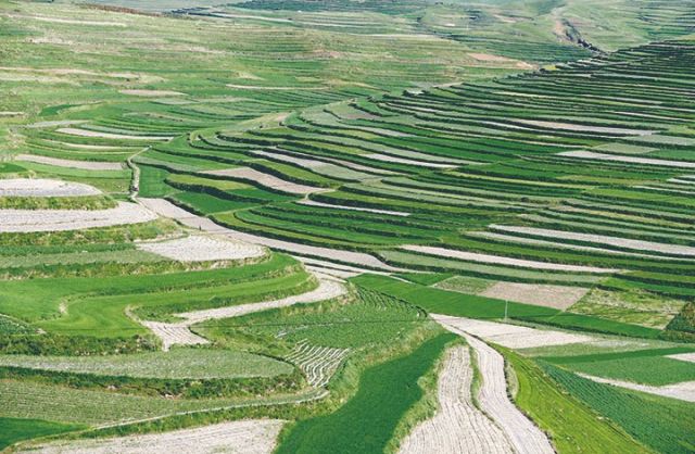 位于甘肅臨潭縣的尕灣梁梯田開(kāi)墾于明代，如今已成為如詩(shī)如畫的農(nóng)耕人文景觀（資料圖）.jpg