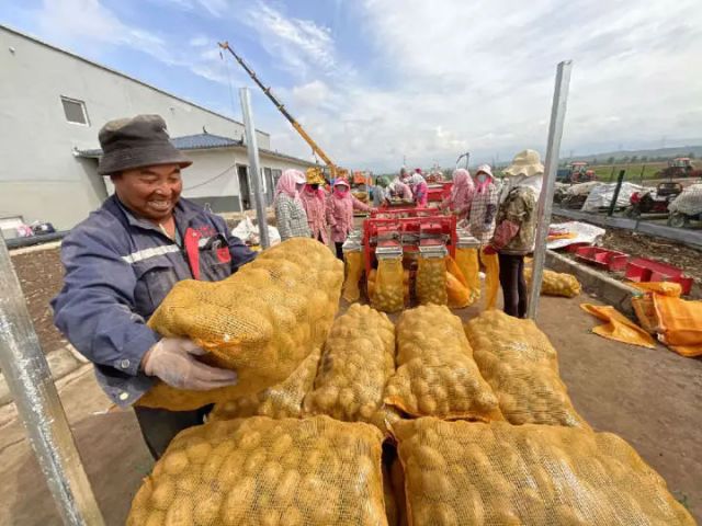 圖2  豐收的喜悅  申維祖 攝.jpg