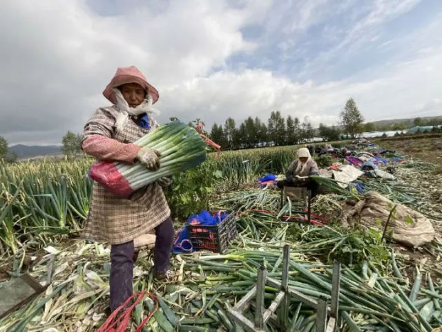 圖3  家門口打工，拓寬了增收渠道  申維祖 攝.jpg