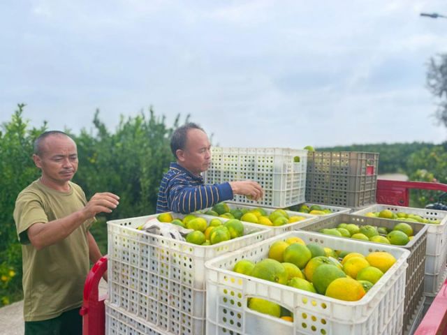 圖3  待運輸?shù)母涕?jpg