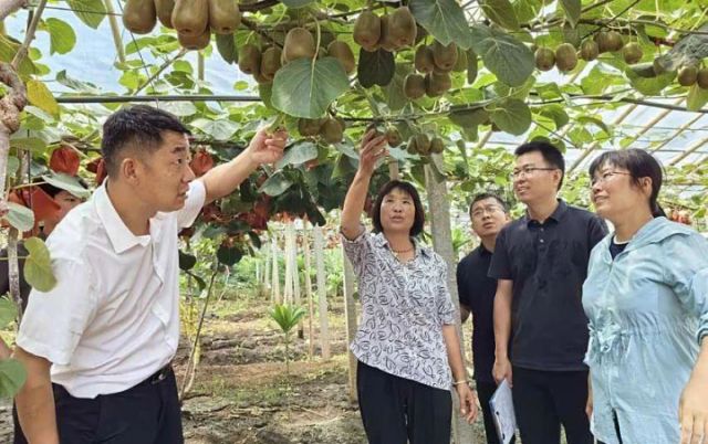 圖2  科技特派員在蔬果基地指導(dǎo)種植（胡振興 攝）.jpg