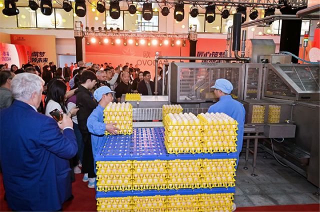 圖3  四川歐福蛋業(yè)巴氏殺菌蛋液生產(chǎn)線啟動 拷貝.jpg