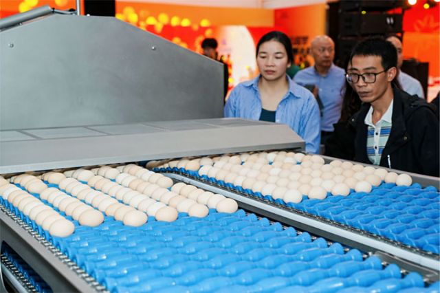 圖4  四川歐福蛋業(yè)巴氏殺菌蛋液生產(chǎn)線 拷貝.jpg