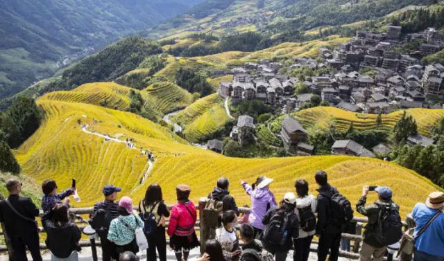 圖1  10月21日，中外游客在龍脊梯田游覽。（伍文悄 攝）.jpg
