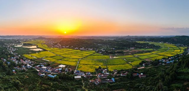 圖1  保和鎮(zhèn)馬蹄灣糧經(jīng)復合現(xiàn)代農(nóng)業(yè)園區(qū).jpg