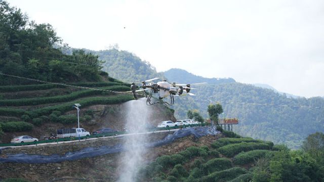 圖5 無人機低空植保 （向繼華 攝）.jpg