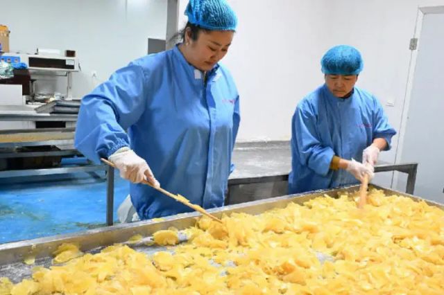 圖1  山東省青島市即墨區(qū)移風(fēng)店鎮(zhèn)女兒村的農(nóng)民在生產(chǎn)車間加工姜糖（張濤 攝）.jpg
