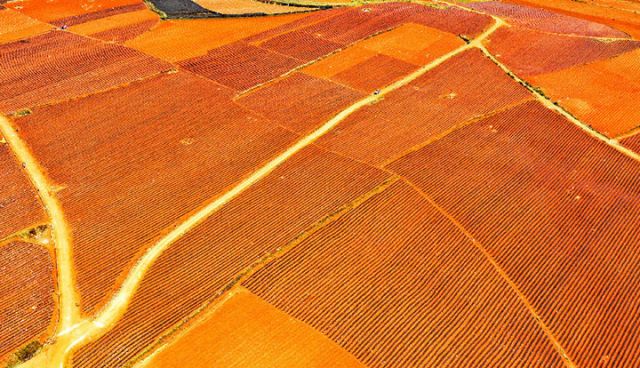 圖2 田成方，渠相連，路相同，旱能灌，澇能排 （趙樹龍 攝）.jpg