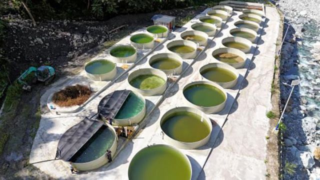 1763539239353498.jpg 222.jpg