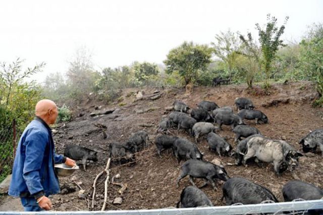 1763539259834974.jpg 333.jpg