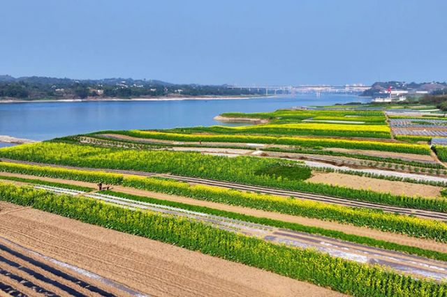 圖2  三江村村民趁著晴好天氣播種菜苗。 &nbsp;廖勝春 攝&nbsp;.jpg