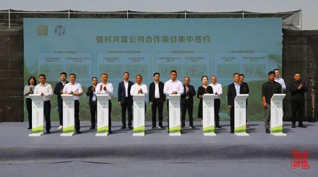 圖6  強(qiáng)村共富公司合作項目集中簽約現(xiàn)場。 &nbsp;高銀松 攝.jpg