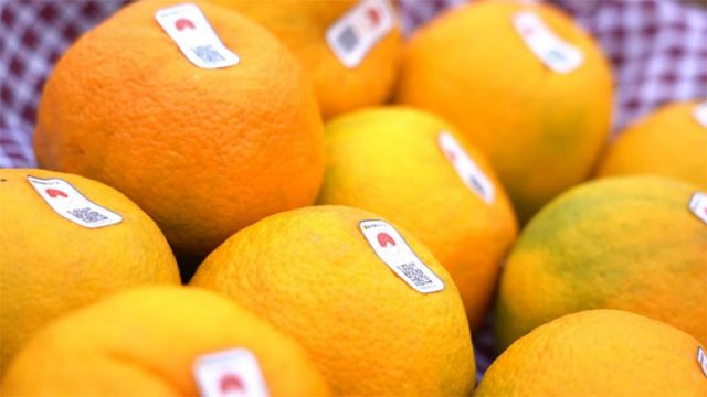 圖2  有溯源碼的“雁媛” 拷貝.jpg