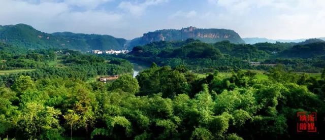 圖1  納溪區(qū)永寧河畔翠竹翻涌。（區(qū)林竹局供圖）.jpg