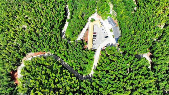 圖4  白節(jié)鎮(zhèn)大旺竹海。（納溪融媒供圖）.jpg