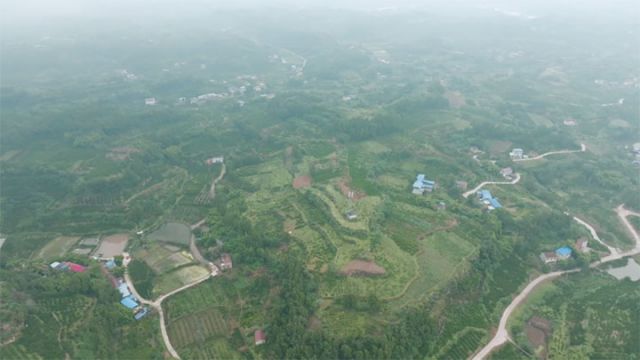 圖1  豐裕鎮(zhèn)同意村 拷貝.jpg