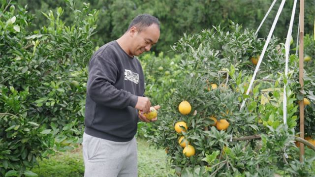 圖2  羅澤與雁媛 拷貝.jpg