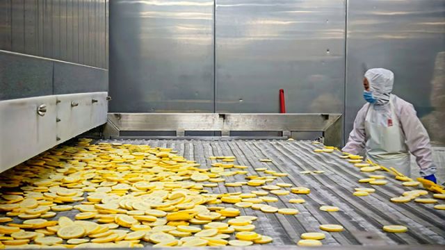 圖4  切好的檸檬片。閆凱 攝.jpg