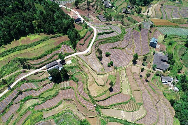 圖1  三江鎮(zhèn)民主村的“四好農(nóng)村路”.jpg