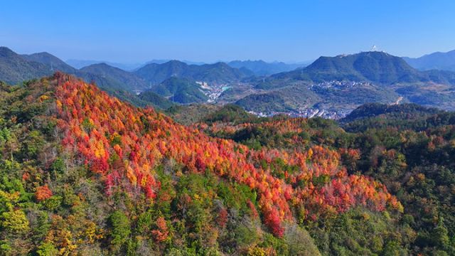 1764752456939495.jpg 磐安縣秋色一景 (鄭晨光 攝).jpg