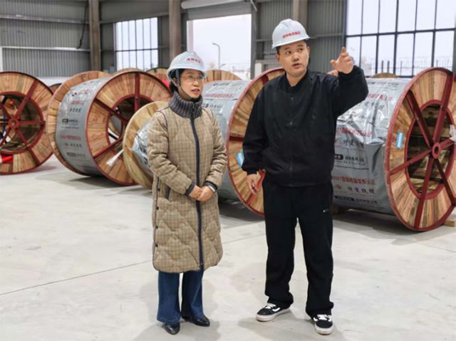 圖5  高新區(qū)產業(yè)落地專班負責人上門指導企業(yè)生產建設 拷貝.jpg